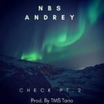 NBS Andrey- Check Part 2